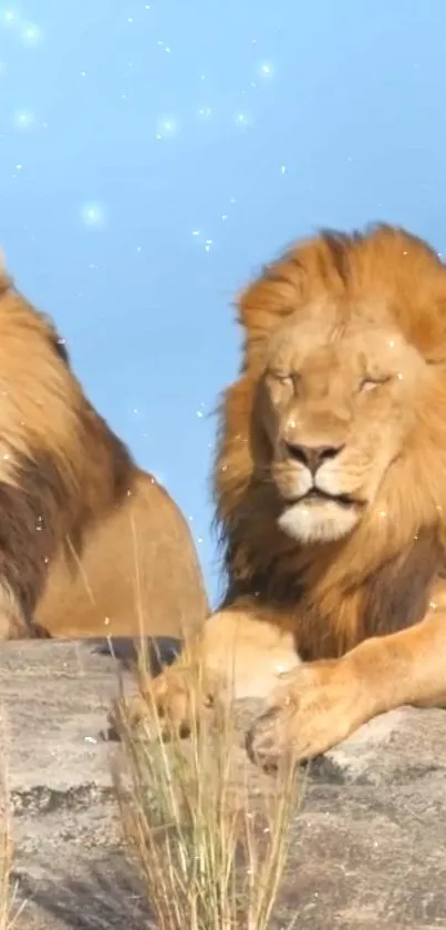 Two majestic lions resting on a rock under a blue sky, with soft light sparkles around.