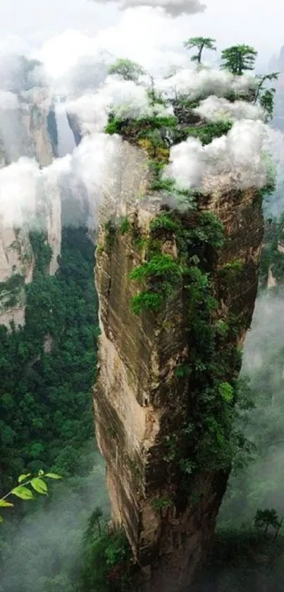 Tall rock pillars in a misty forest landscape.