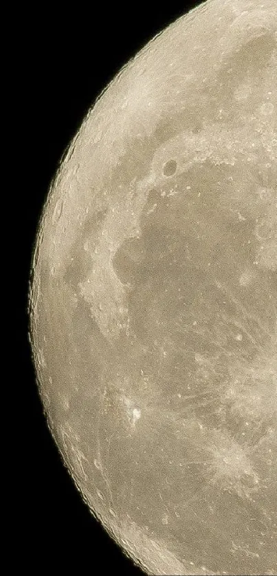 Close-up of the moon's surface against a black sky.