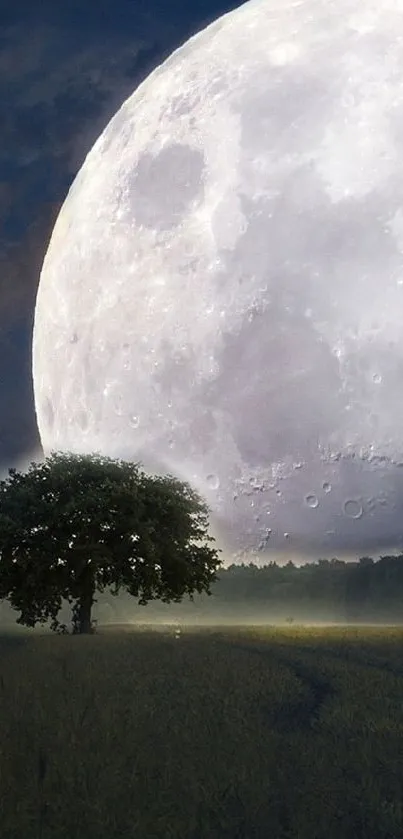 Moonlit night wallpaper with large moon and lone tree.