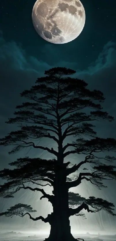 Silhouette of a tree under a full moon on a starry night background.