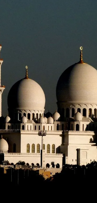 Silhouette of a grand mosque at sunset against a golden sky.