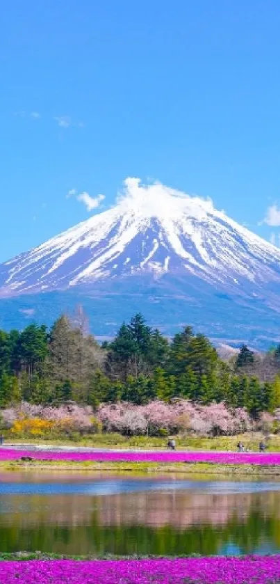 Mountain with lake and blooming purple flowers under a clear blue sky.