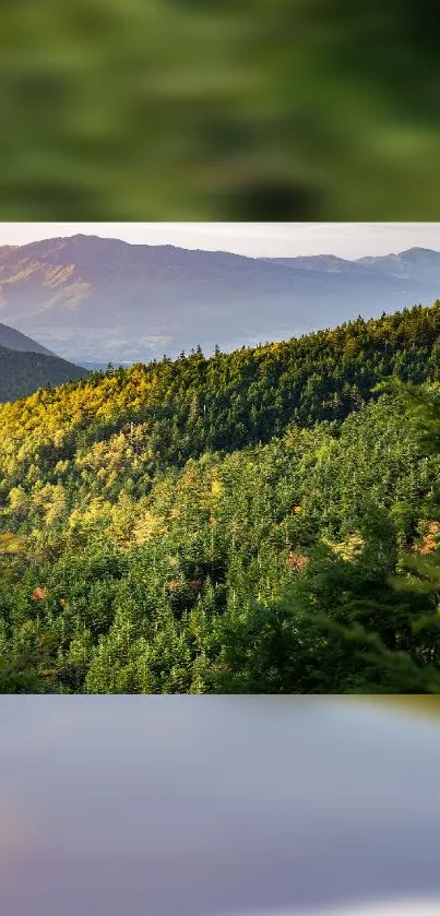 A vibrant green mountain landscape with lush forests under a clear sky.