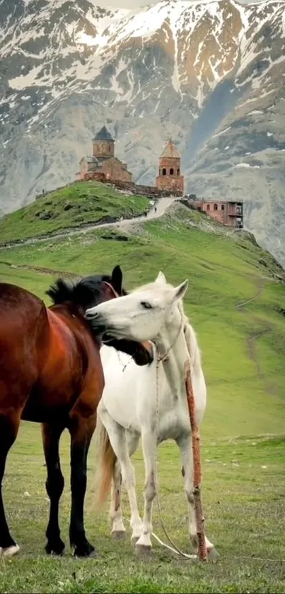 Two horses on a grassy hill with mountains in the background.