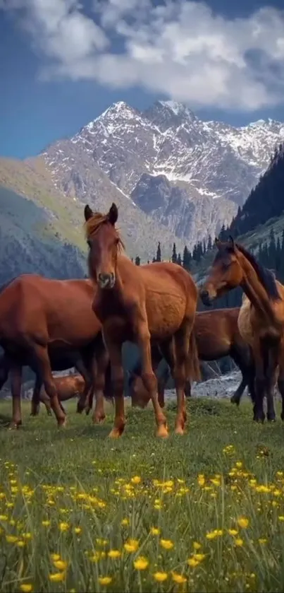 Horses graze in a serene mountain meadow under a clear blue sky.