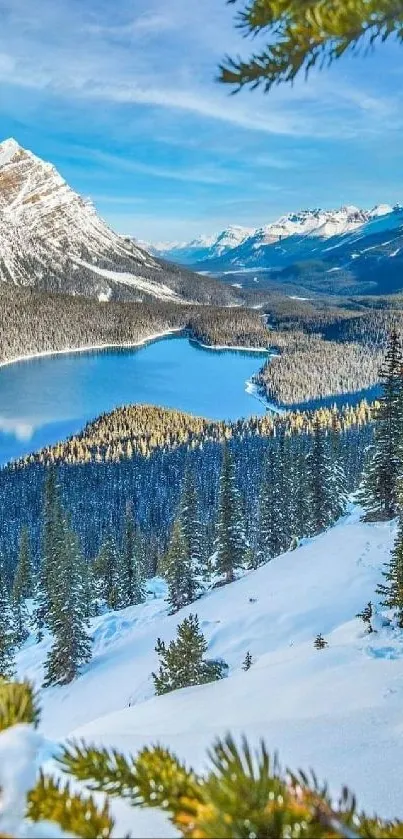 Mountain lake with snow-capped peaks and pine trees under a bright blue sky.