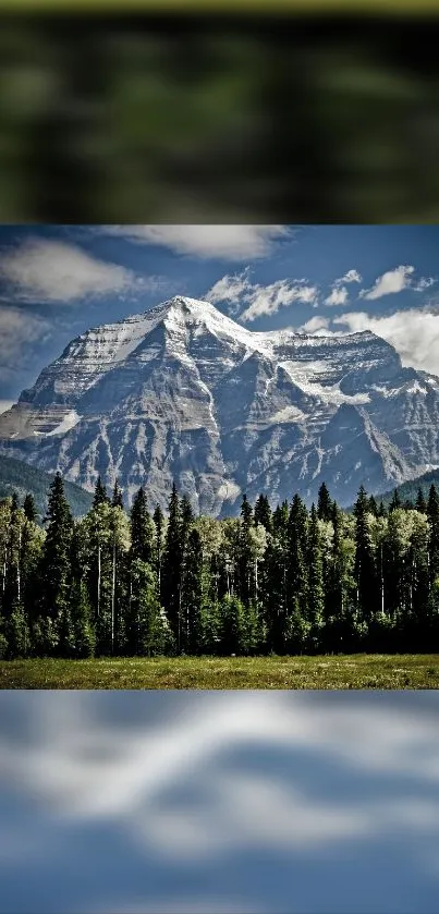 Majestic mountain landscape with green forest and blue sky.