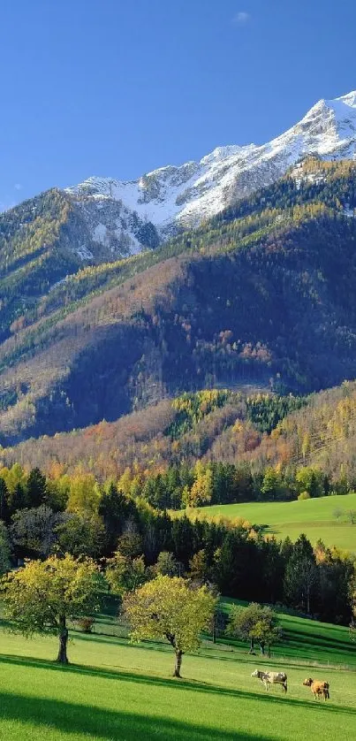 Vibrant mountain landscape with green fields and snowy peaks.