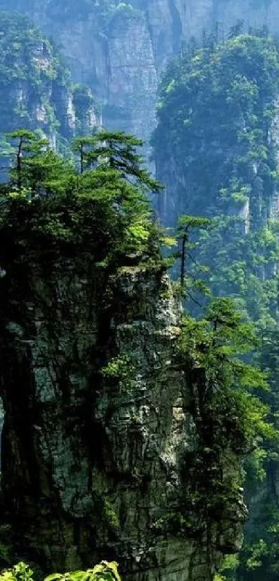 Majestic mountain landscape with lush greenery and cliffs.