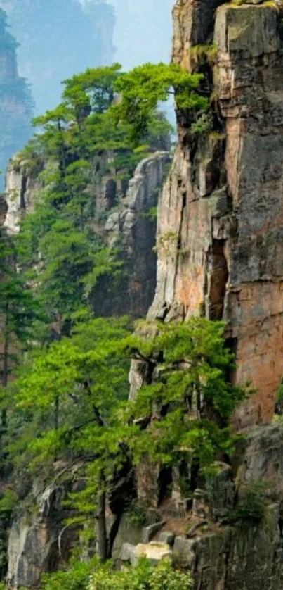 Towering mountains with lush greenery and rocky cliffs for mobile wallpaper.