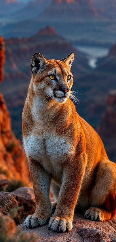 Mountain lion sitting on rocks in a scenic landscape, gazing into the distance.