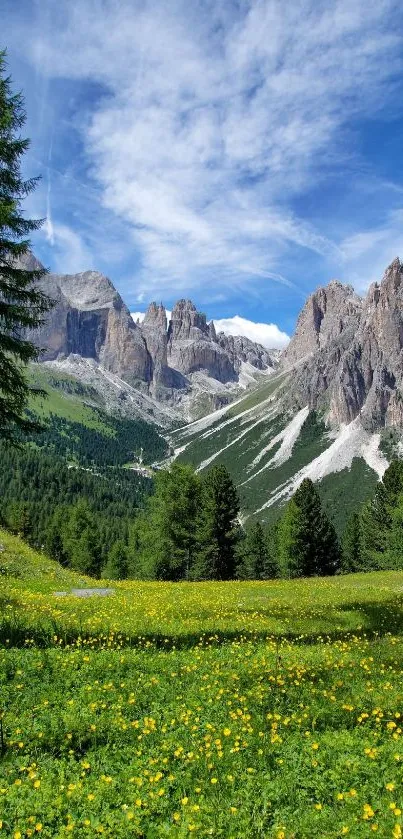 Mountain meadow with yellow flowers and peaks under a blue sky