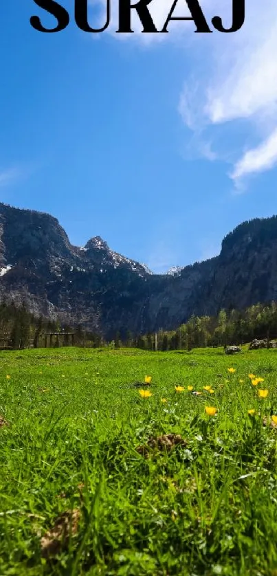 Majestic mountains and green meadow under a blue sky with clouds.