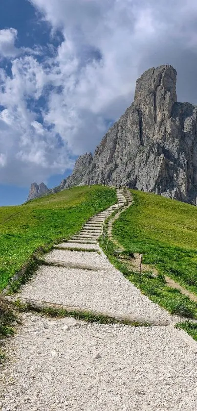 Pathway leading to a mountain under a cloudy sky.