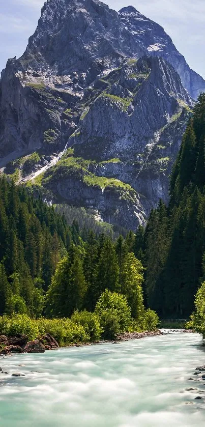 Majestic mountain and river scenery with lush forest.