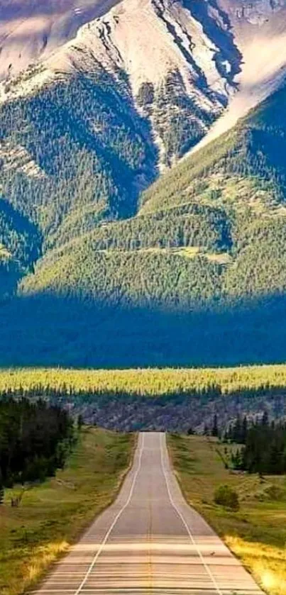 Scenic road leading to lush green mountains under a bright sky.