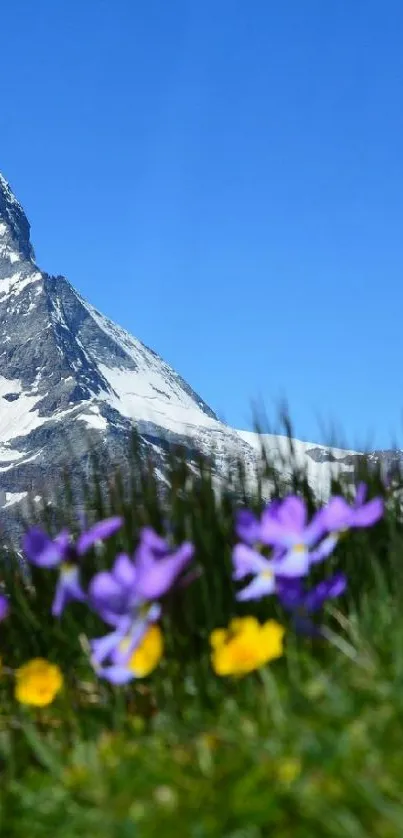 Mountain scene with wildflowers under a clear blue sky.