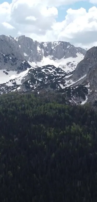 Snow-capped mountains with lush green forest under a cloudy sky.