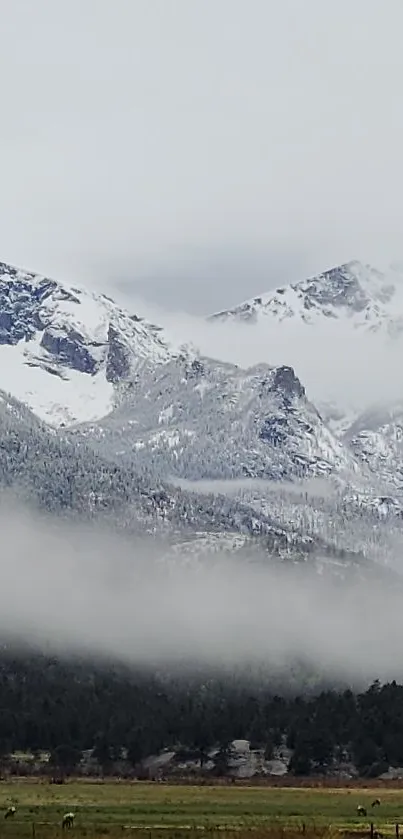 Serene snowy mountain peaks shrouded in mist create a breathtaking natural landscape.