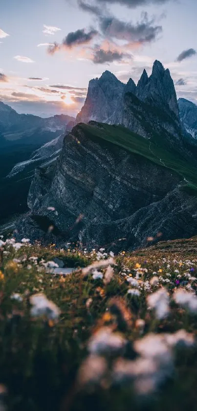 Majestic sunrise over mountain peaks and flowers in foreground.