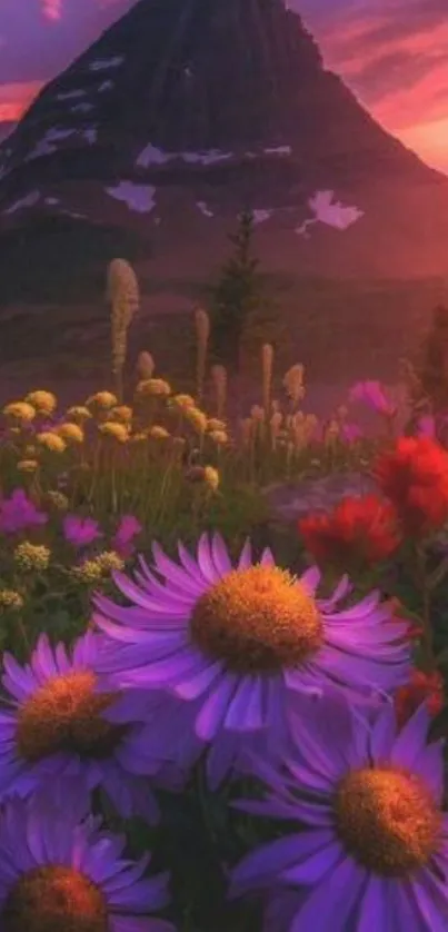 Purple wildflowers with mountain at sunset in vivid colors.