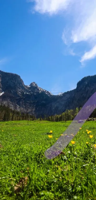 Lush green field with yellow flowers and mountains under clear sky.