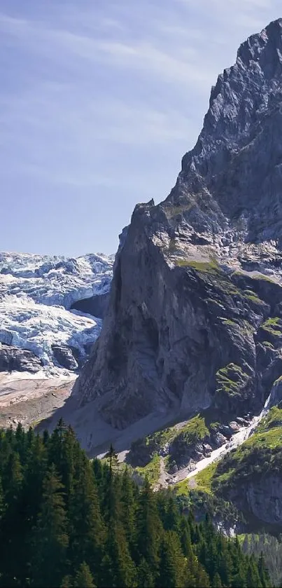 Scenic mountain landscape with forest and blue sky.