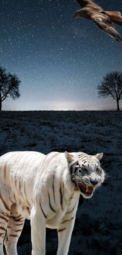 White tiger in night safari under stars