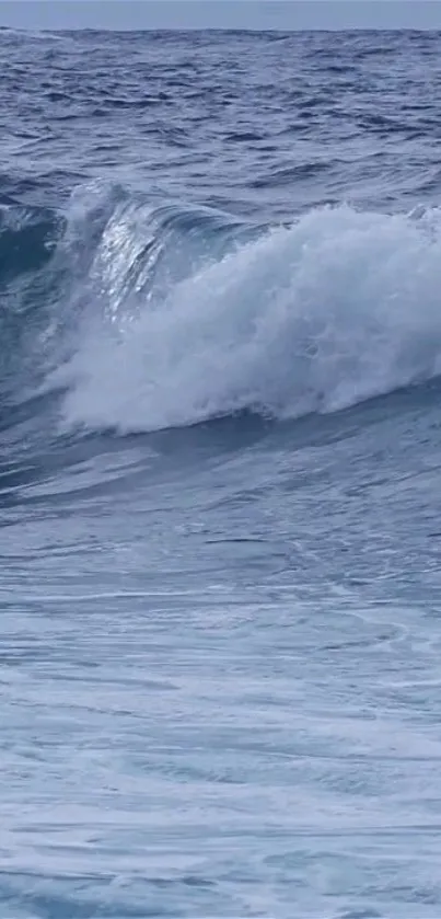 Breathtaking ocean wave crashing in blue waters.