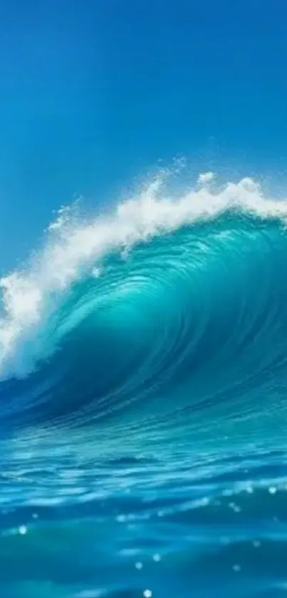 Dramatic ocean wave cresting under a deep blue sky.