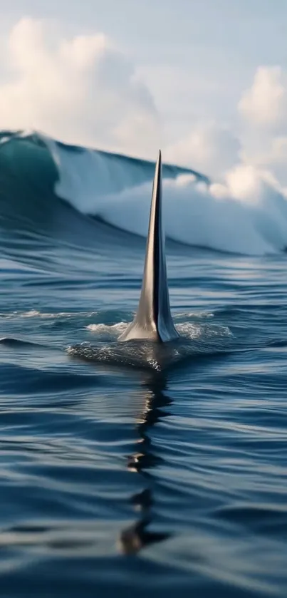 Shark fin slicing through a majestic ocean wave.