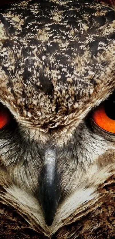 Close-up of a majestic owl with intense orange eyes and detailed feathers.