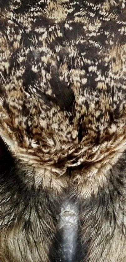 Close-up of an owl, highlighting its detailed feathers and bright eyes.