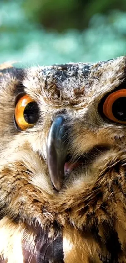 Close-up of a majestic owl with vivid eyes in a natural setting.