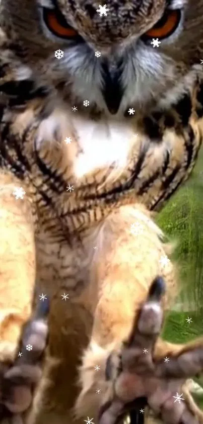 Close-up of a majestic owl with detailed feathers and sharp talons in focus.