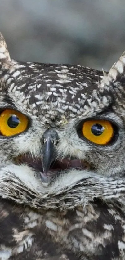 Close-up photo of a majestic owl with striking yellow eyes.