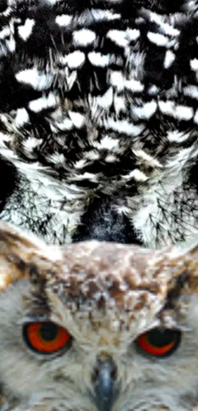 Close-up of a majestic owl with stunning orange eyes.