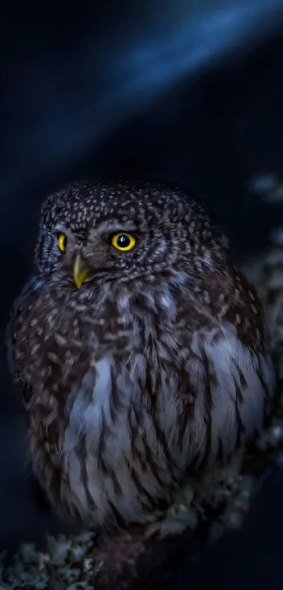 Majestic owl perched in dark forest scene.