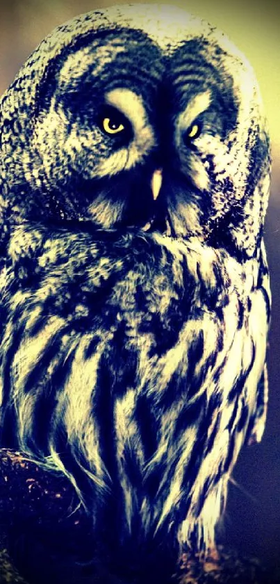 Majestic owl in dark-themed wallpaper.