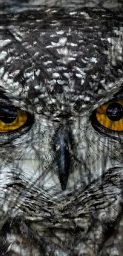 Gray owl with yellow eyes staring intently in a detailed close-up photo.