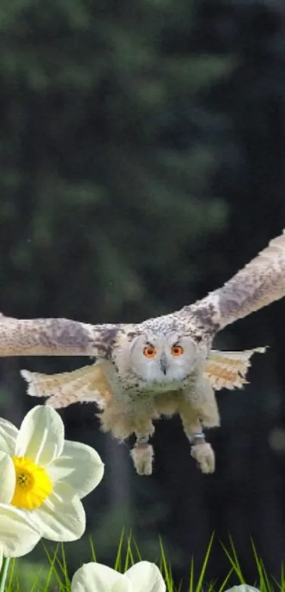 An owl flying over daffodils in a forest setting.