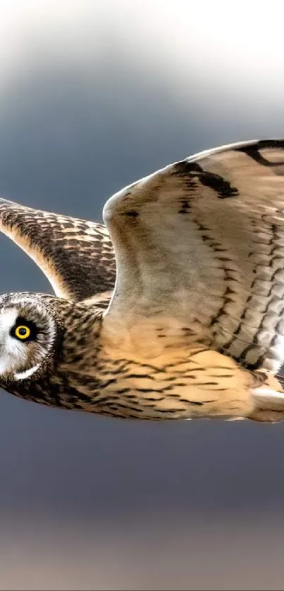 Owl soaring across a blurred background in a stunning wildlife display.