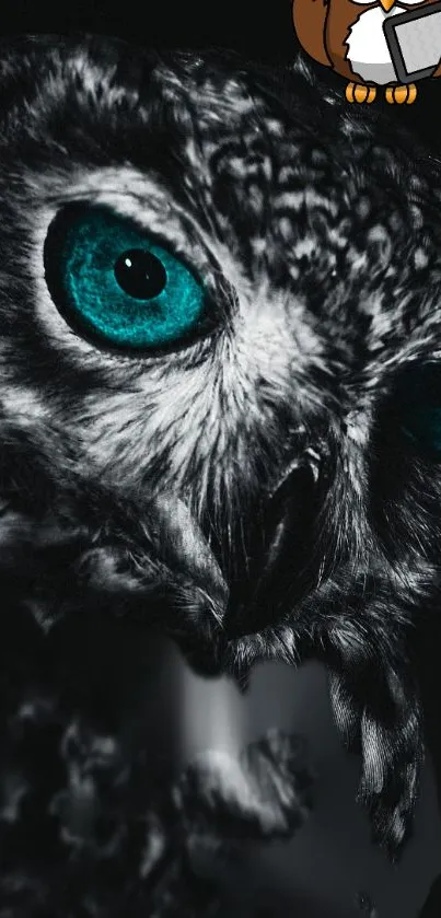 Striking owl with teal eyes on a black background.