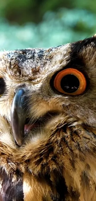 Close-up of a majestic owl with striking eyes on a mobile wallpaper.