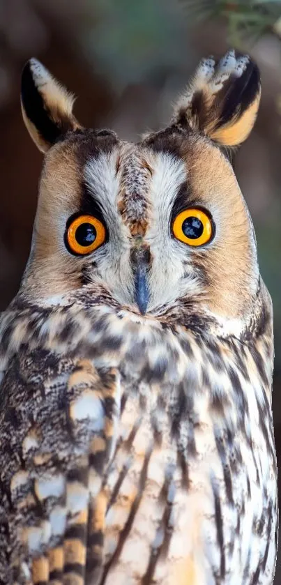 Majestic owl with bright yellow eyes staring ahead in a nature setting.