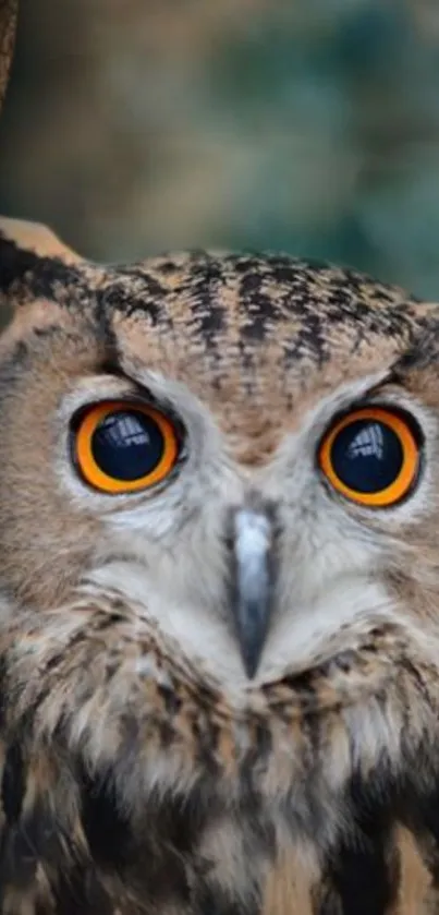 Majestic owl with vibrant eyes in a forest setting on mobile wallpaper.