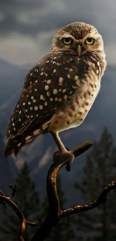 Owl sitting on a tree branch with mountains in the background.