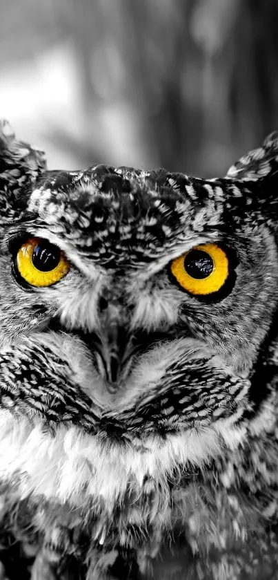 A striking owl with yellow eyes on monochrome mobile wallpaper.