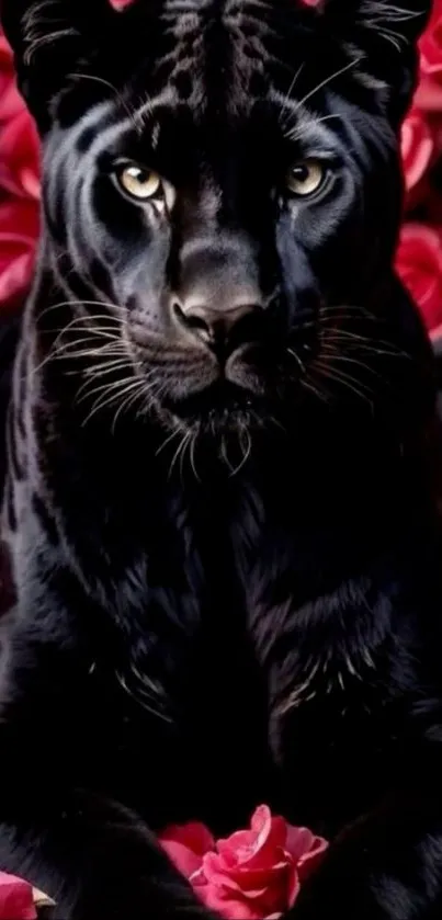 Black panther lying amidst vibrant red roses.